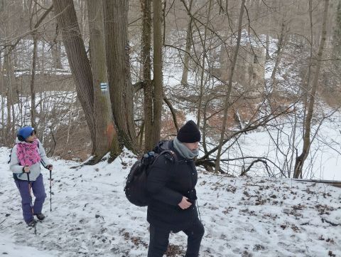 Wycieczka po Pogórzu Wałbrzyskim m55 - PTTK Strzelin