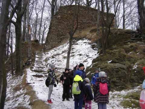 Zamek Nowy Dw�r s023 - PTTK Strzelin