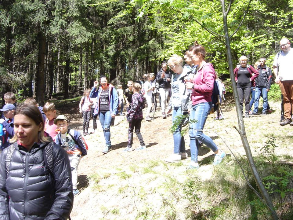 Zej�cie do Lubomina d064 - PTTK Strzelin