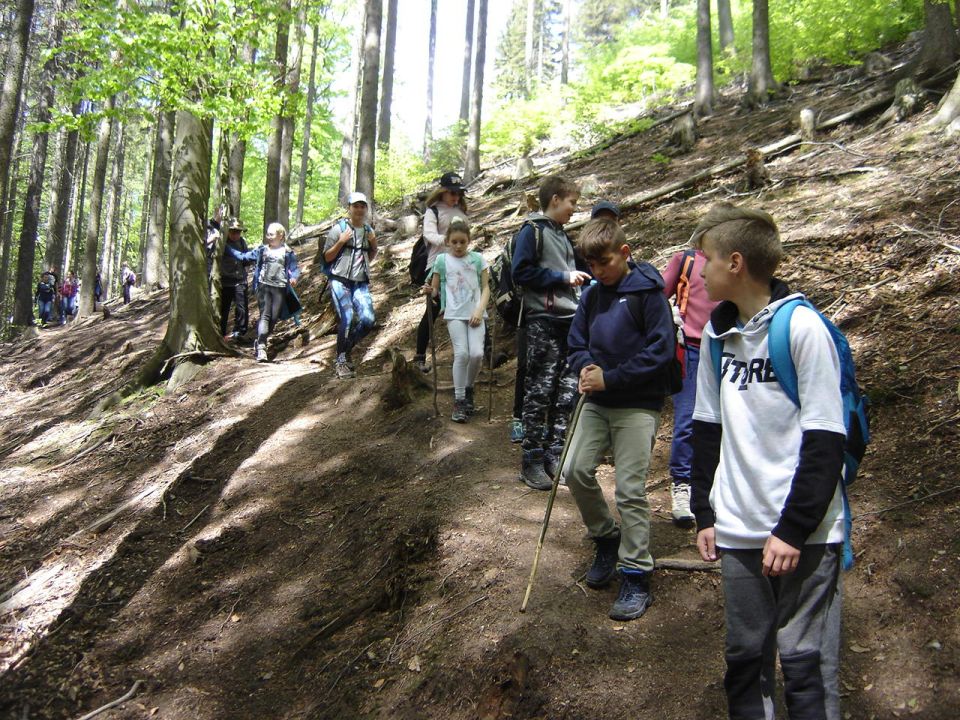 Zej�cie do Lubomina d068 - PTTK Strzelin