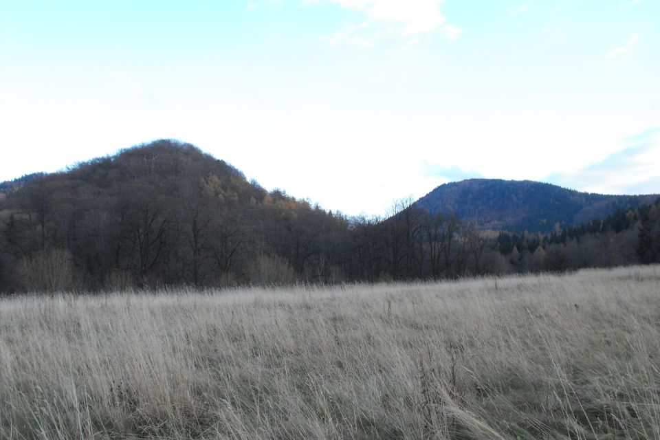 Zamek Nowy Dw�r i Borowa (z prawej) d001 - PTTK Strzelin