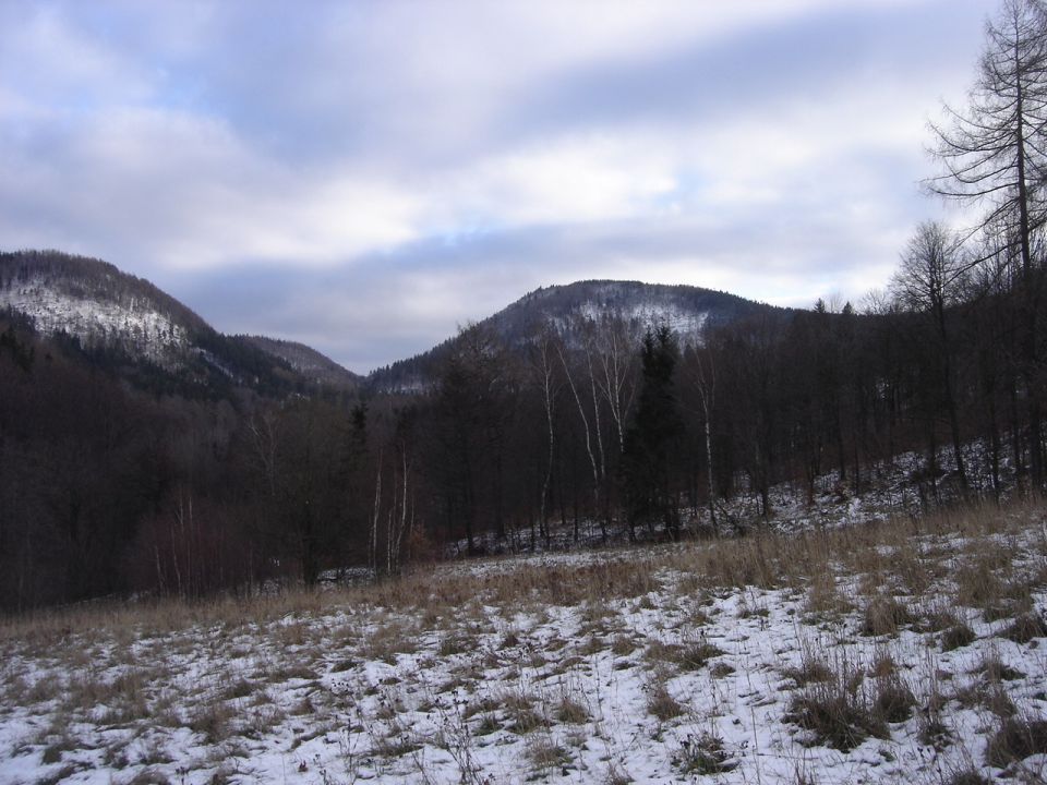 Borowa d002 - PTTK Strzelin