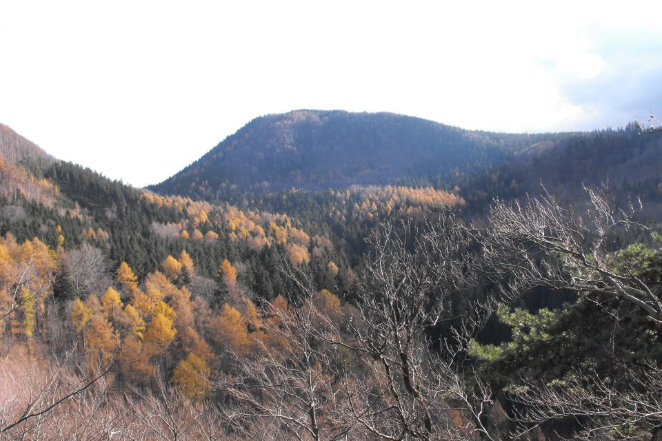 Borowa d003 - PTTK Strzelin