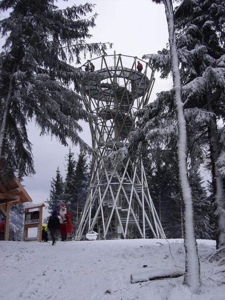 Borowa - wie�a widokowa d004 - PTTK Strzelin