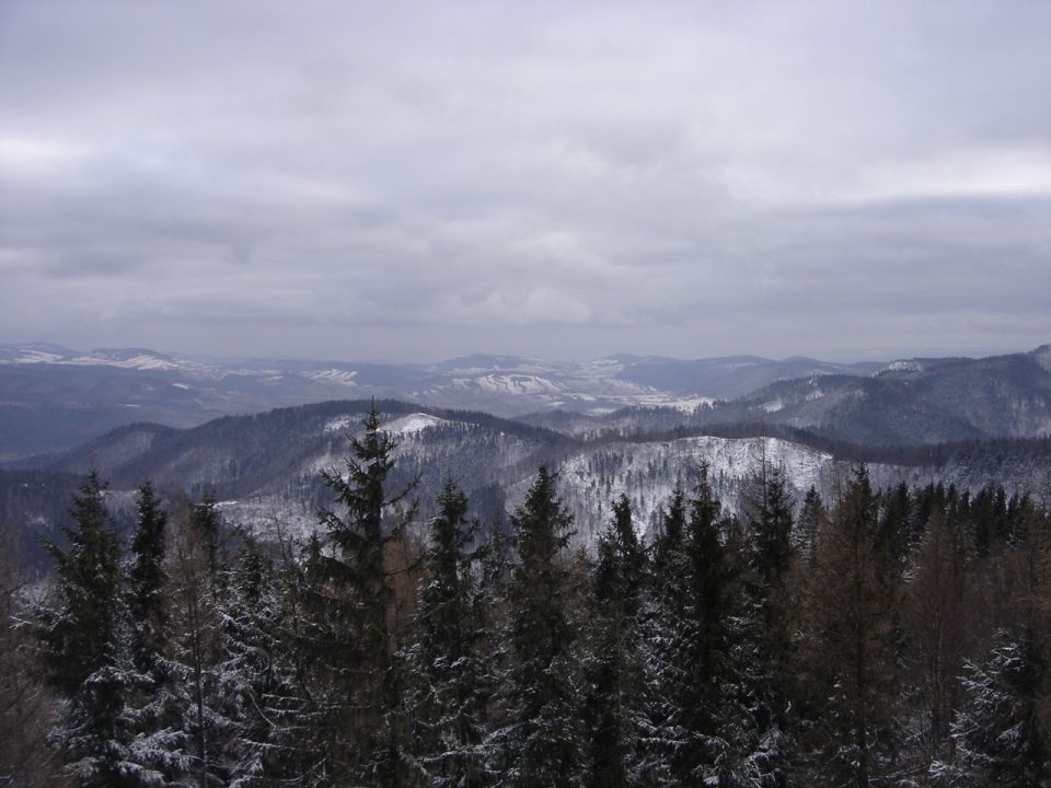 Borowa - widok z wie�y widokowej d015 - PTTK Strzelin