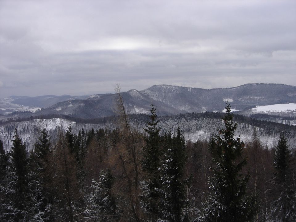 Borowa - widok z wie�y widokowej d016 - PTTK Strzelin