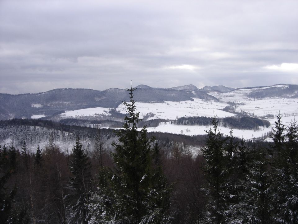 Borowa - widok z wie�y widokowej d017 - PTTK Strzelin