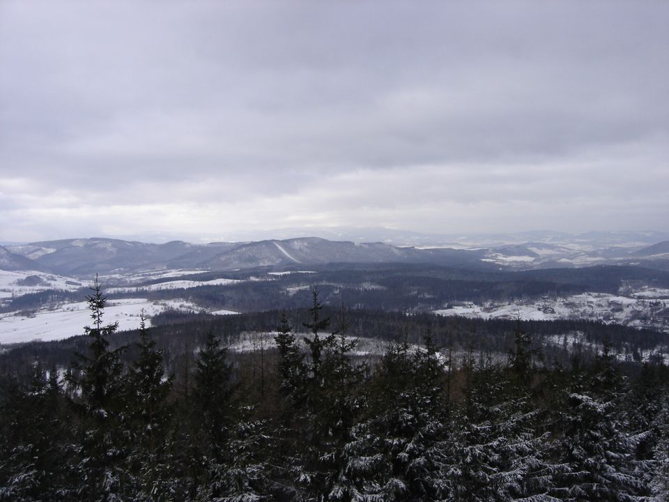 Borowa - widok z wie�y widokowej d020 - PTTK Strzelin