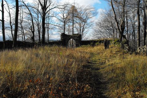 Zamek Nowy Dw�r w G�rach Wa�brzyskich s019 - PTTK Strzelin