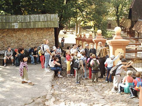 Zag�rze �l�skie - zamek Grodno - na zamku dolnym