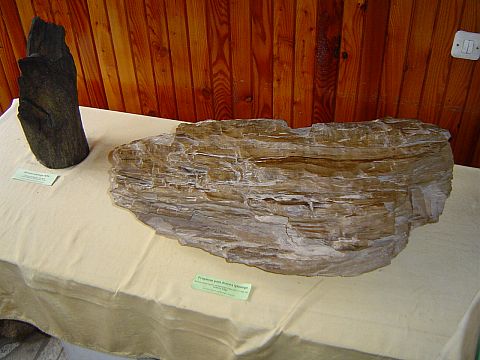 Nowa Ruda - Kopalnia W�gla Kamiennego - muzeum s086 - PTTK Strzelin