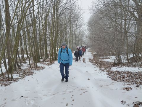 Wycieczka po Wzgórzach Ścinawskich i Włodzickich s15 - PTTK Strzelin