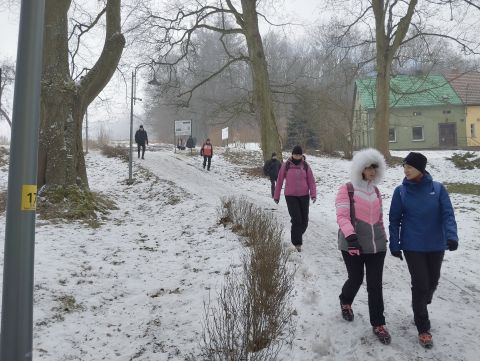 Wycieczka po Wzgórzach Ścinawskich i Włodzickich s88 - PTTK Strzelin