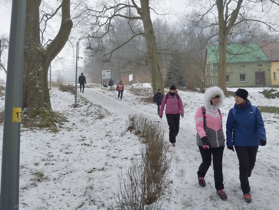 Wycieczka po Wzgórzach Ścinawskich i Włodzickich s004 - PTTK Strzelin