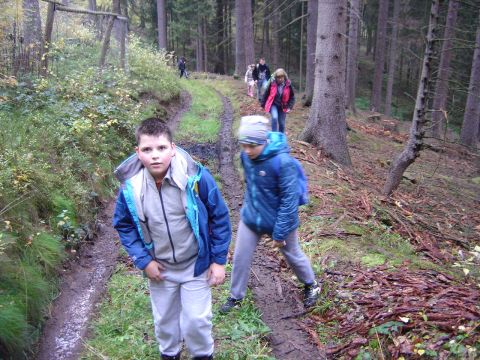 Wzg�rza �cinawskie - w drodze do Suszyny s016 - PTTK Strzelin