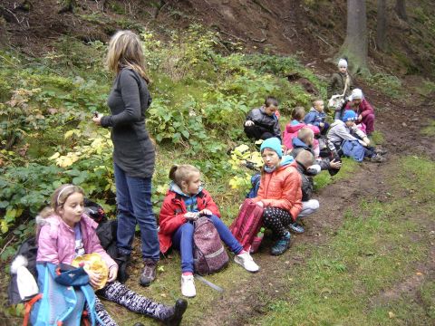 Wzg�rza �cinawskie - w drodze do Suszyny s018 - PTTK Strzelin