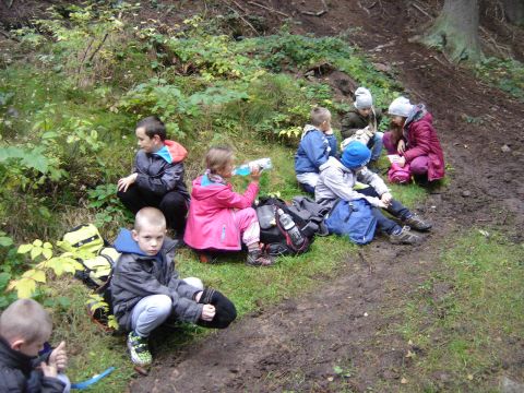 Wzg�rza �cinawskie - w drodze do Suszyny s019 - PTTK Strzelin