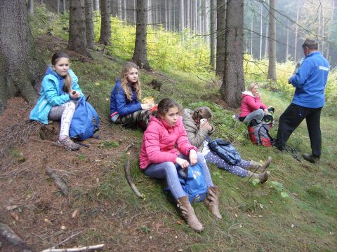 Wzg�rza �cinawskie - w drodze do Suszyny s020 - PTTK Strzelin