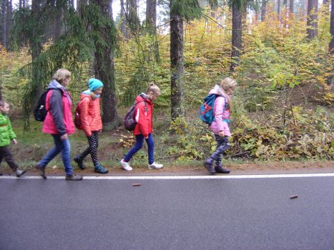 Wzg�rza �cinawskie - w drodze do Suszyny s023 - PTTK Strzelin