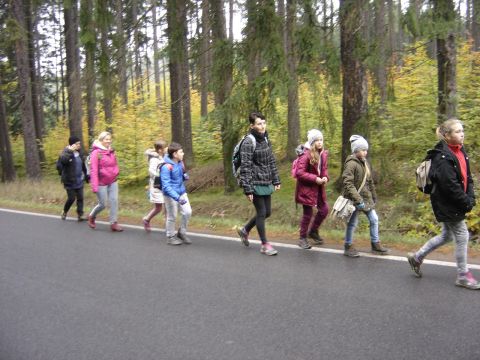 Wzg�rza �cinawskie - w drodze do Suszyny s032 - PTTK Strzelin