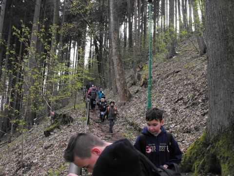 Zej�cie do S�upca s059 - PTTK Strzelin