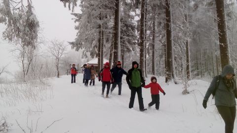 Zej�cie do �wierk�w s021 - PTTK Strzelin