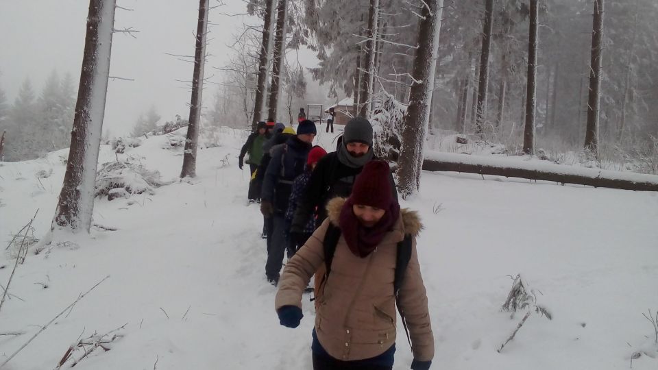 Zej�cie do �wierk�w d022 - PTTK Strzelin