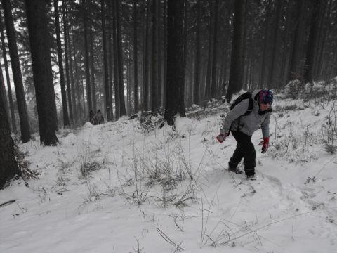 Wycieczka na Wzgórza Włodzickie s13 - PTTK Strzelin