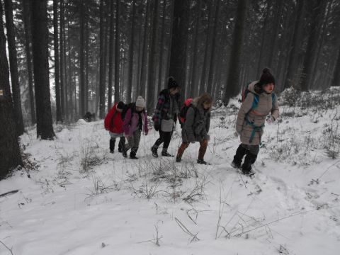 Wycieczka na Wzgórza Włodzickie s14 - PTTK Strzelin