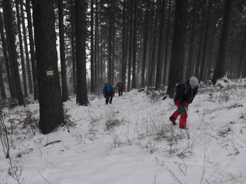 Wycieczka na Wzgórza Włodzickie s16 - PTTK Strzelin