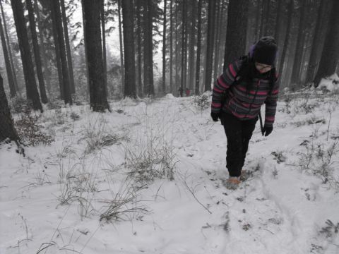Wycieczka na Wzgórza Włodzickie s19 - PTTK Strzelin