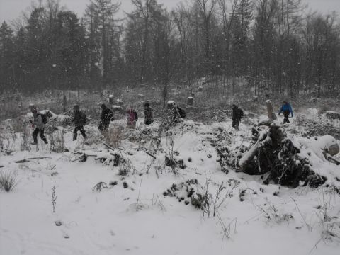 Wycieczka na Wzgórza Włodzickie s25 - PTTK Strzelin