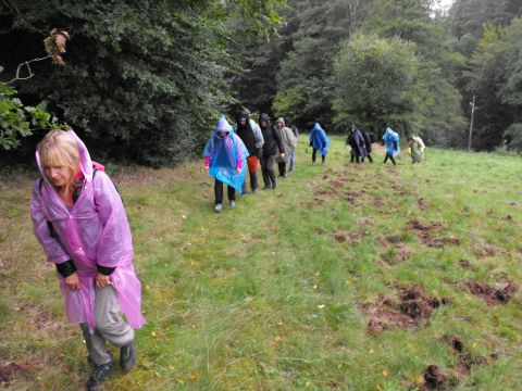 Wycieczka po Wzgórzach Włodzickich s7 - PTTK Strzelin