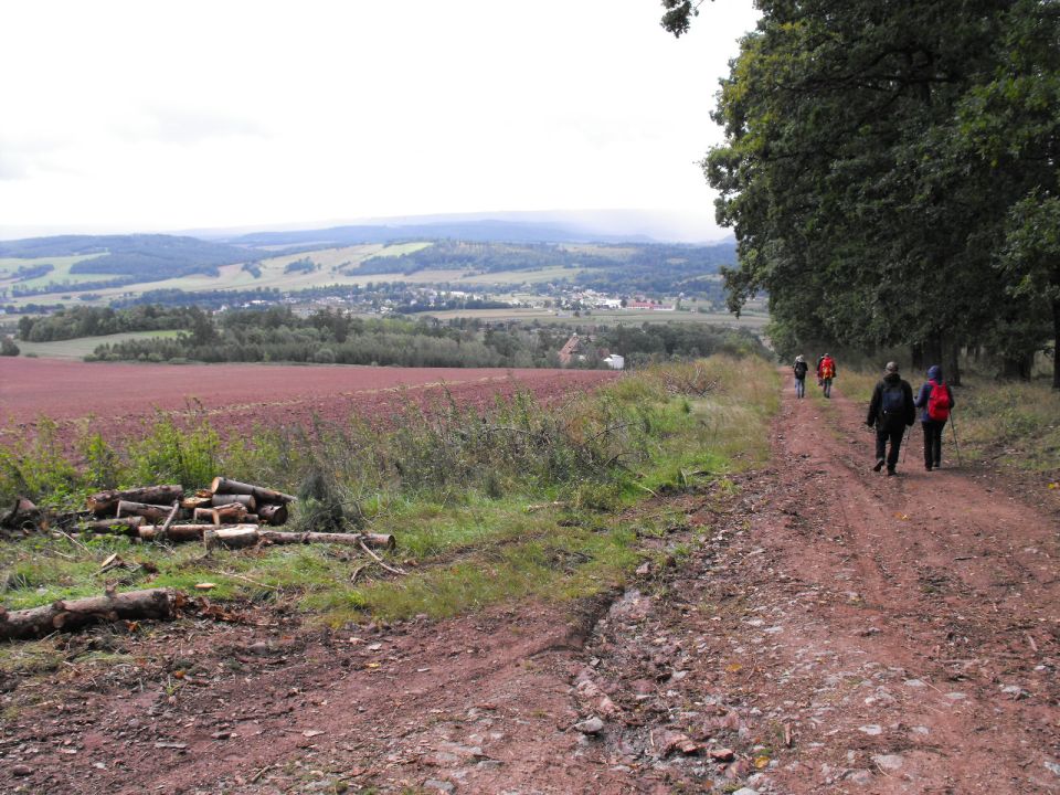 Wycieczka po Wzgórzach Włodzickich s003 - PTTK Strzelin