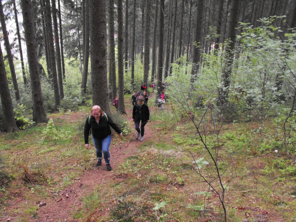 Wycieczka po Wzgórzach Włodzickich s003 - PTTK Strzelin