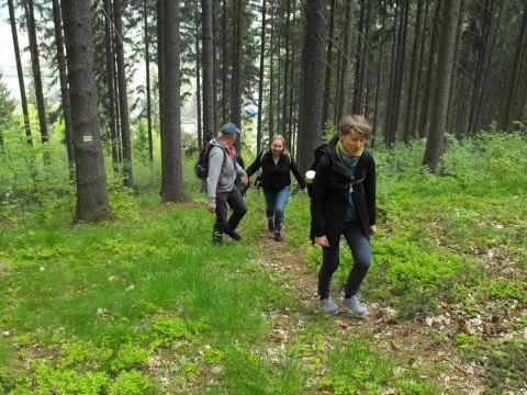 Wycieczka po Wzgórzach Włodzickich s10 - PTTK Strzelin