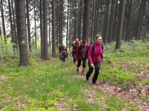 Wycieczka po Wzgórzach Włodzickich s14 - PTTK Strzelin