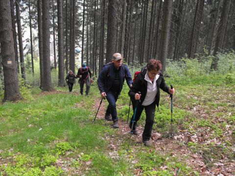 Wycieczka po Wzgórzach Włodzickich s18 - PTTK Strzelin
