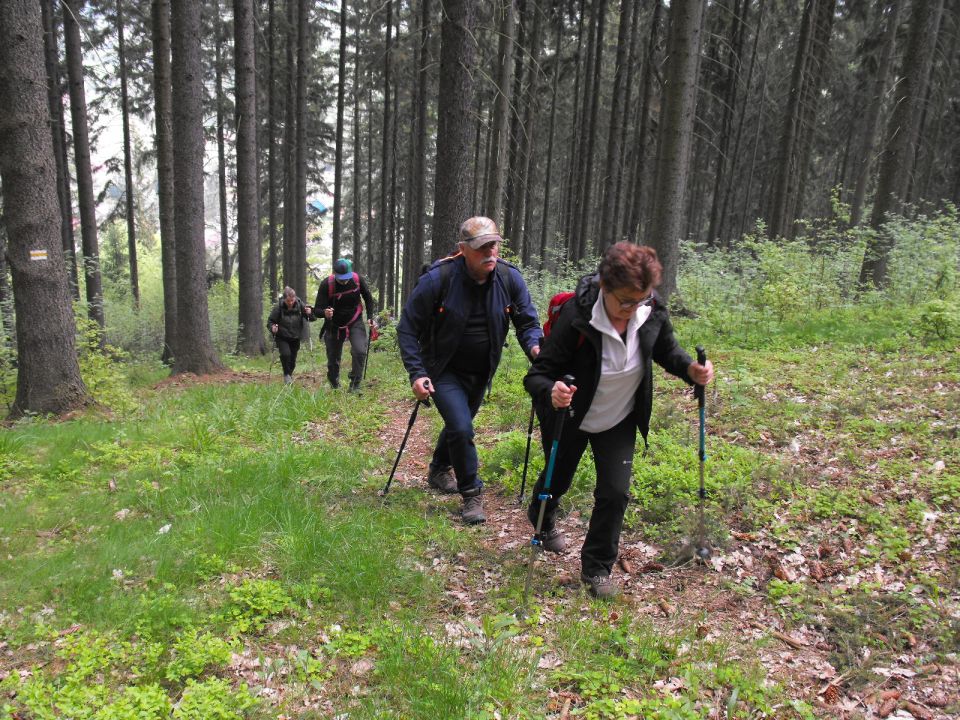 Wycieczka po Wzgórzach Włodzickich s003 - PTTK Strzelin
