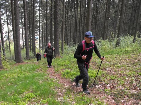 Wycieczka po Wzgórzach Włodzickich s19 - PTTK Strzelin