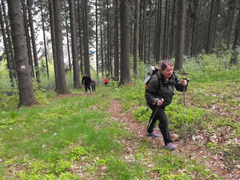 Wycieczka po Wzgórzach Włodzickich s20 - PTTK Strzelin