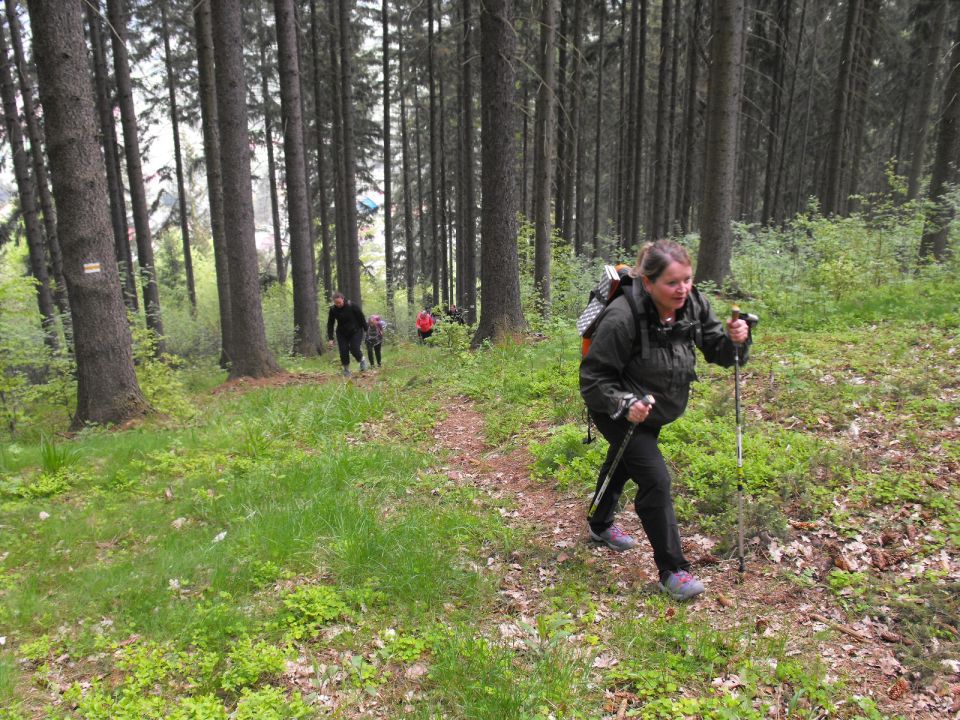 Wycieczka po Wzgórzach Włodzickich s003 - PTTK Strzelin