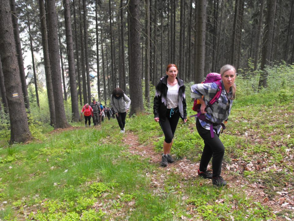 Wycieczka po Wzgórzach Włodzickich s003 - PTTK Strzelin