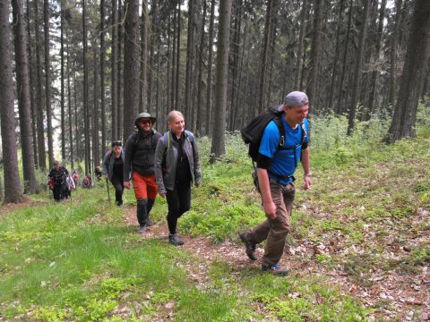 Wycieczka po Wzgórzach Włodzickich s25 - PTTK Strzelin