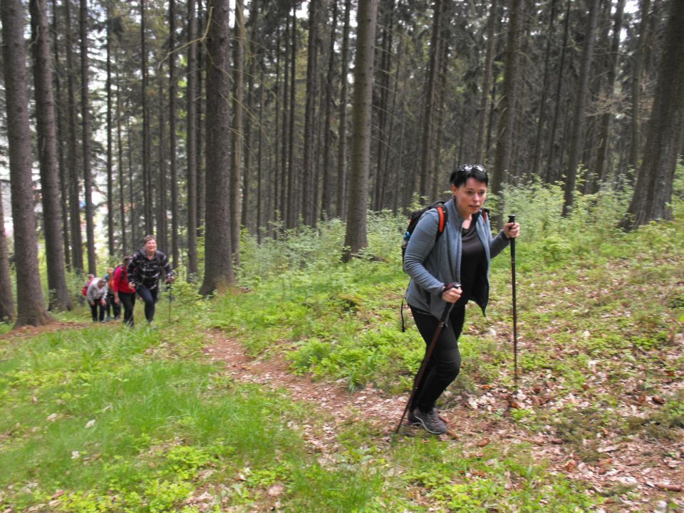 Wycieczka po Wzgórzach Włodzickich s003 - PTTK Strzelin