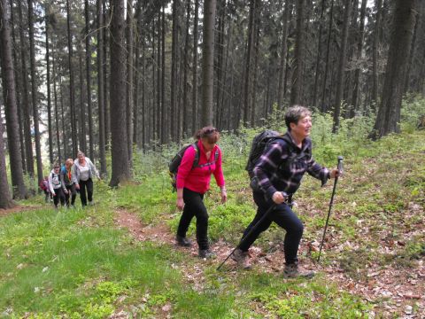 Wycieczka po Wzgórzach Włodzickich s27 - PTTK Strzelin