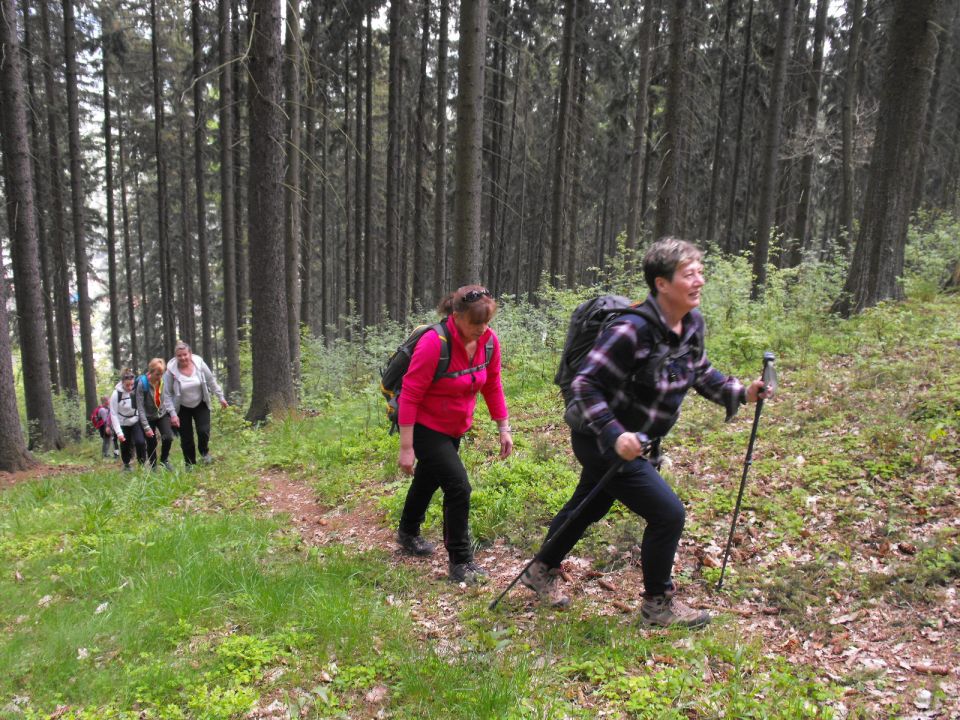Wycieczka po Wzgórzach Włodzickich s003 - PTTK Strzelin
