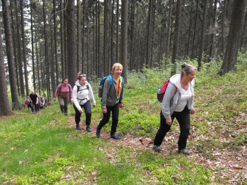 Wycieczka po Wzgórzach Włodzickich s28 - PTTK Strzelin