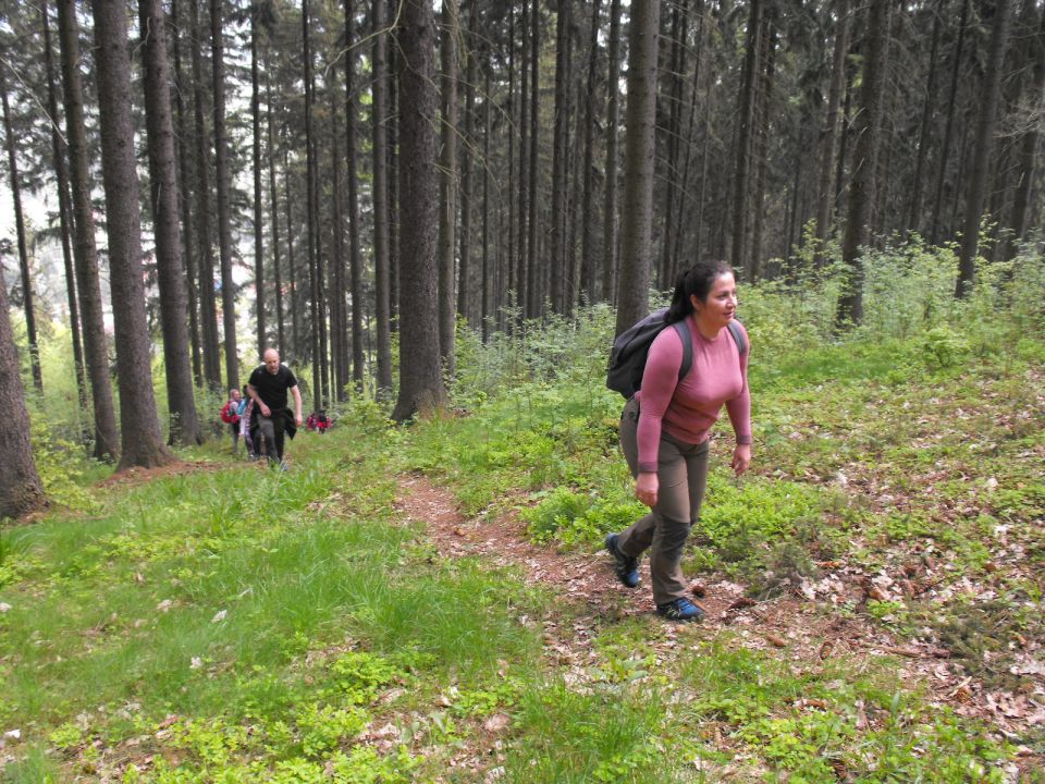 Wycieczka po Wzgórzach Włodzickich s003 - PTTK Strzelin