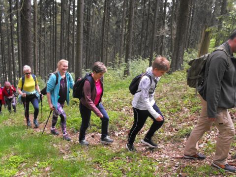 Wycieczka po Wzgórzach Włodzickich s32 - PTTK Strzelin